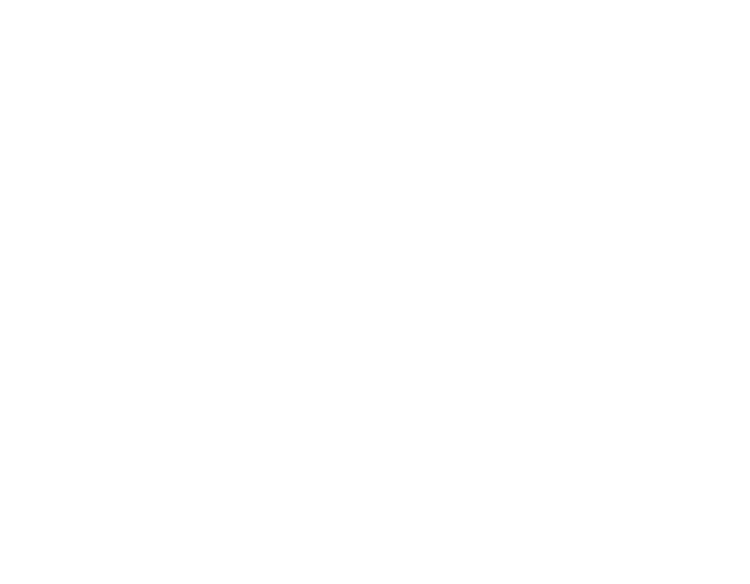 Bar Salon La Flecha